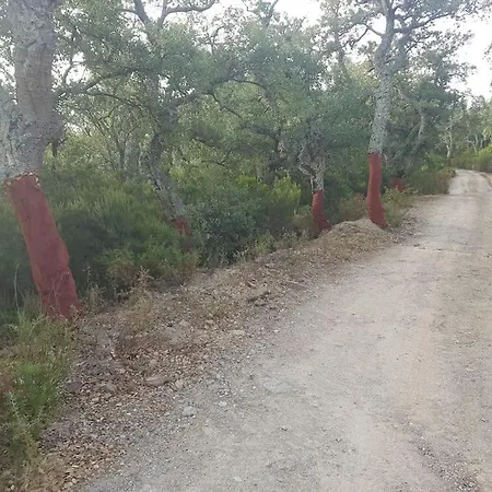 Le Casteil Entre Et Montagne Σπίτι διακοπών